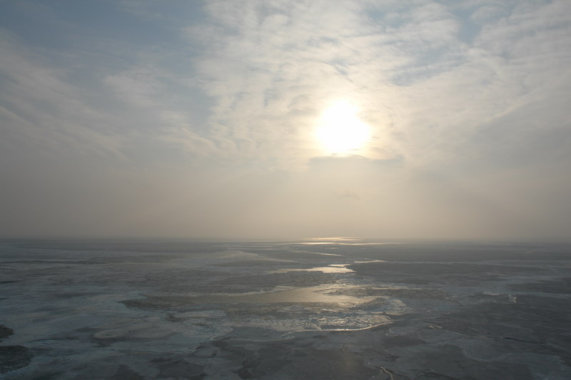     ,   2006 .
